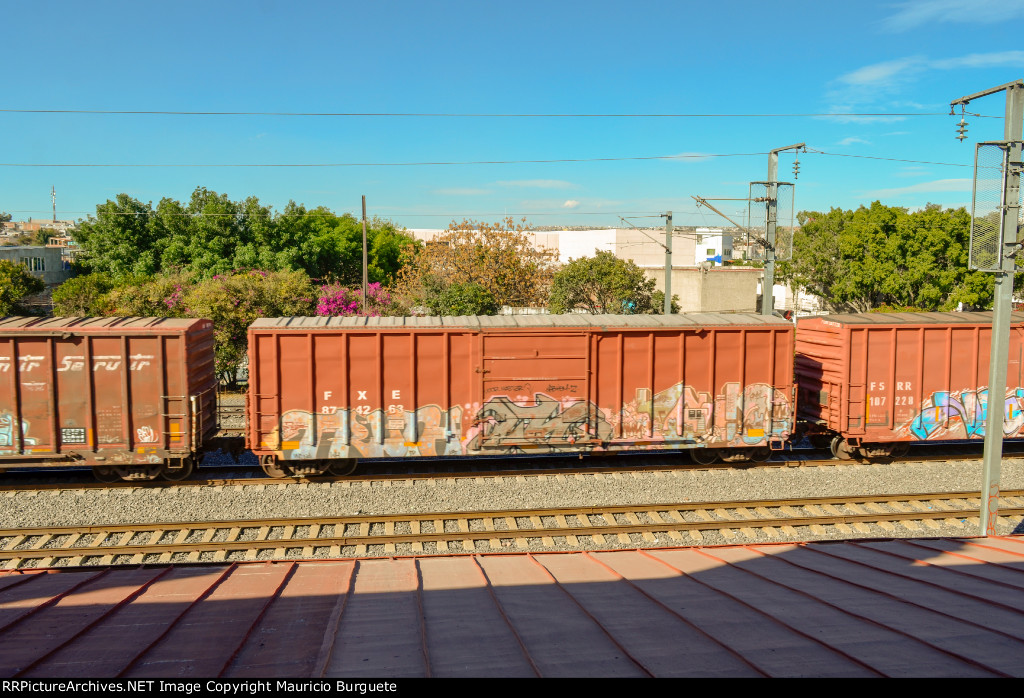 Ferromex Box Car